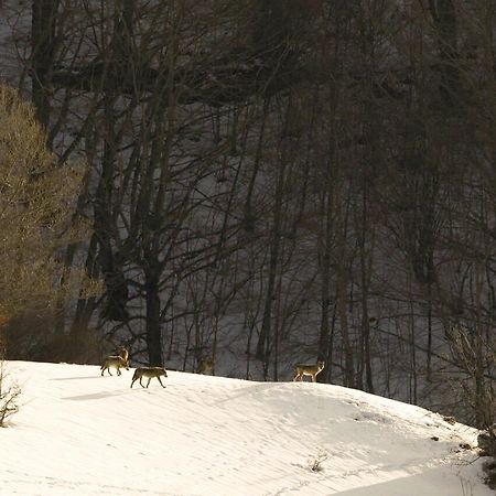 Hotel Valle Del Lupo Pescasseroli Zewnętrze zdjęcie