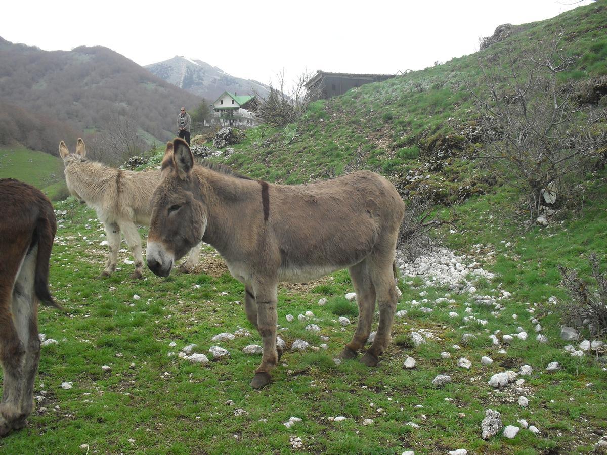 Hotel Valle Del Lupo Pescasseroli Zewnętrze zdjęcie