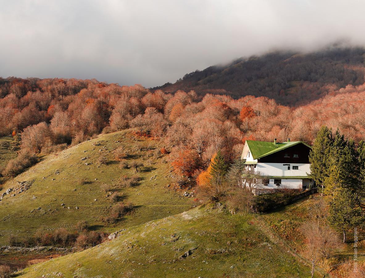Hotel Valle Del Lupo Pescasseroli Zewnętrze zdjęcie